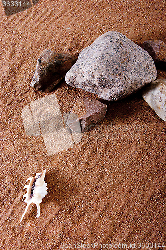 Image of The texture of the river bank