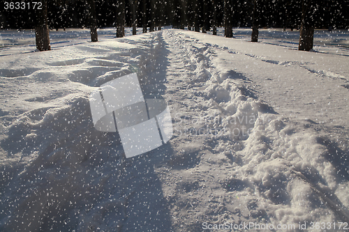 Image of Snow covered path at night