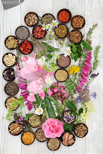 Image of Alternative Herbal Medicine