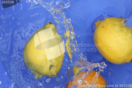 Image of Oranges and lemons