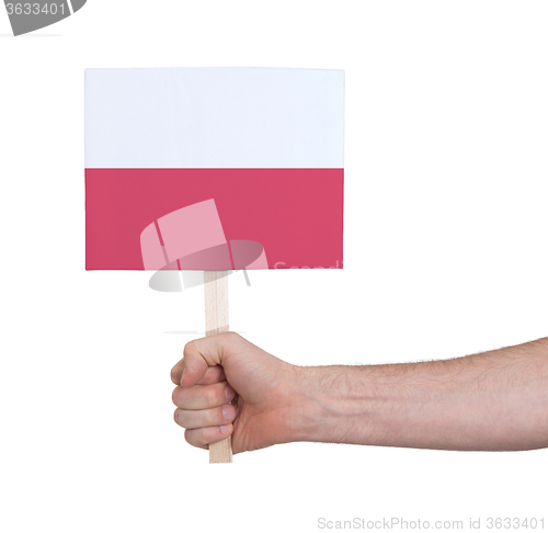 Image of Hand holding small card - Flag of Poland