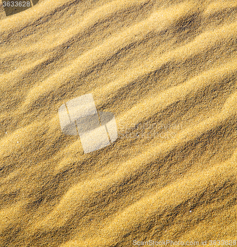 Image of the brown sand dune in the sahara morocco desert 