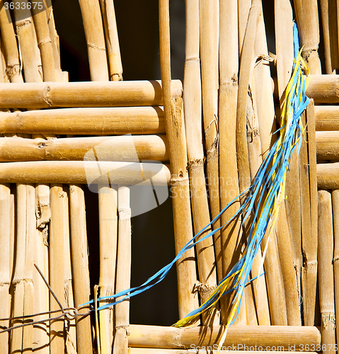 Image of texture bamboo in morocco africa brown natural line closeup