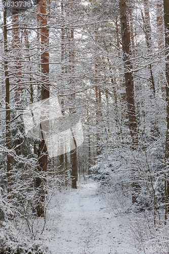 Image of Ground road snowfall after