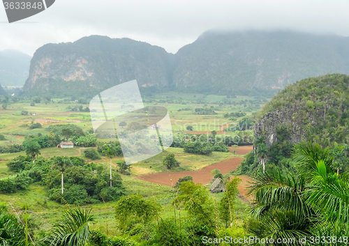 Image of around Vinales Valley in Cuba