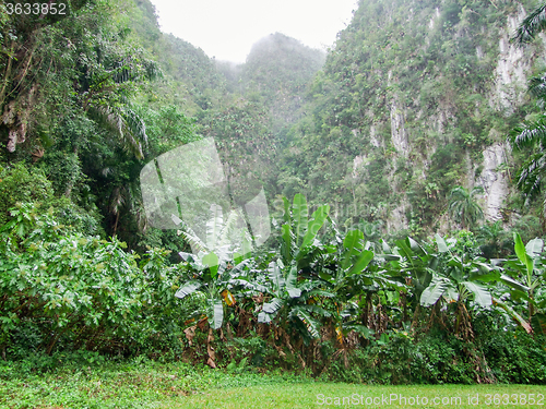 Image of around Vinales Valley in Cuba