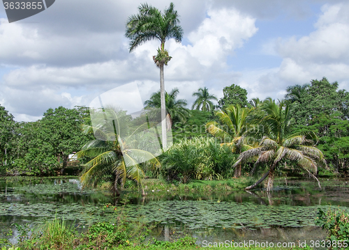 Image of around Vinales Valley in Cuba