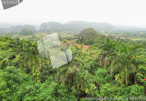 Image of around Vinales Valley in Cuba