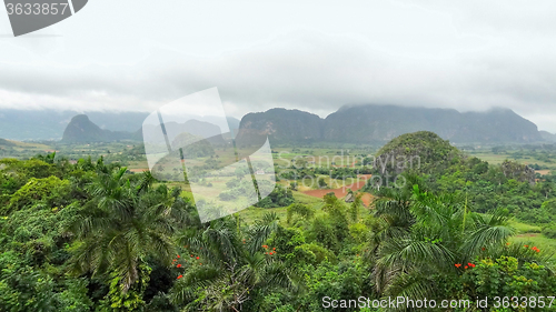 Image of around Vinales Valley in Cuba