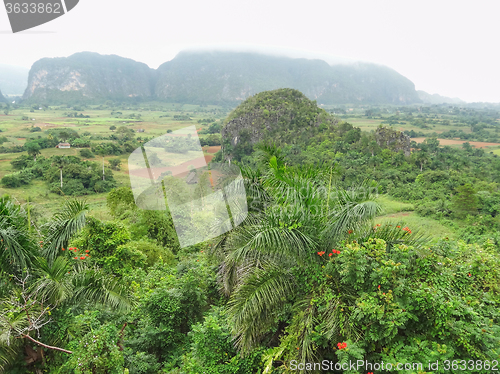 Image of around Vinales Valley in Cuba