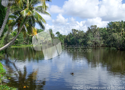 Image of around Vinales Valley in Cuba