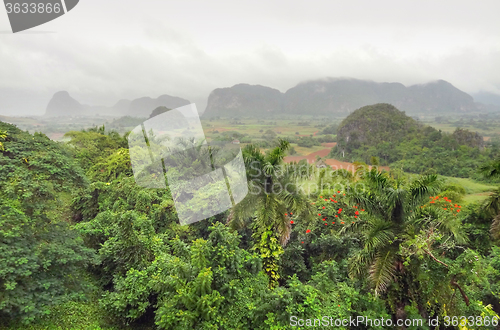 Image of around Vinales Valley in Cuba