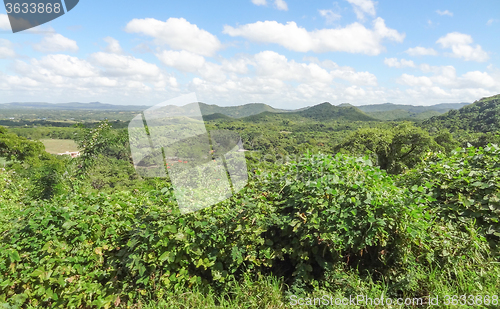 Image of around Vinales Valley in Cuba