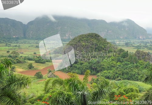 Image of around Vinales Valley in Cuba