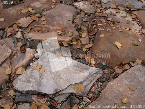 Image of Stones and Leaves in Auli