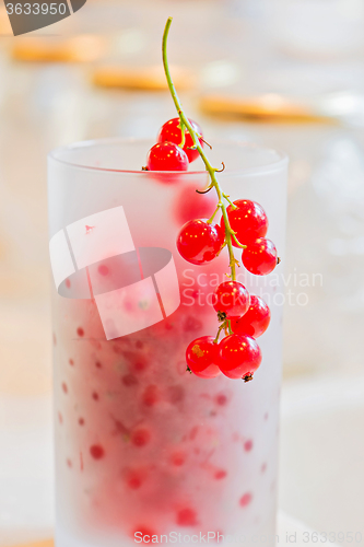 Image of Fresh red currants in glass