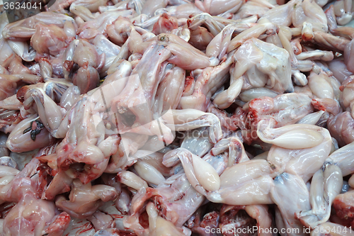 Image of Frog meat for sale