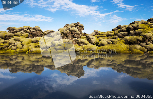 Image of Moss grown lava