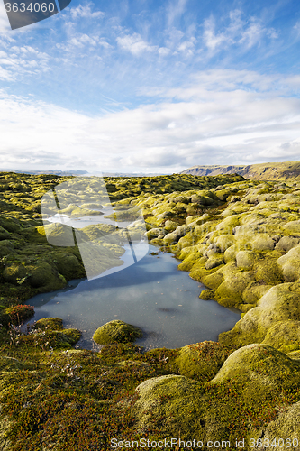 Image of Icelandic lava field