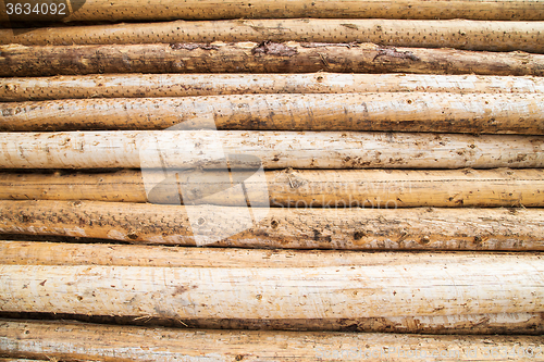 Image of pile of logs