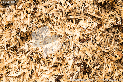 Image of wood shavings