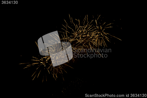 Image of Fireworks in the night sky