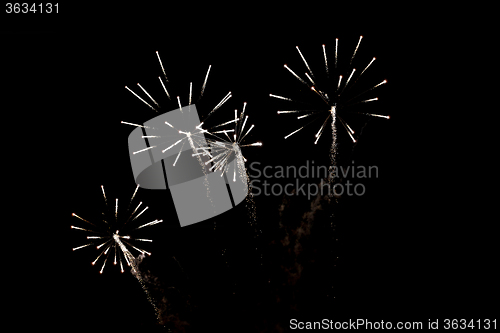 Image of Fireworks in the night sky