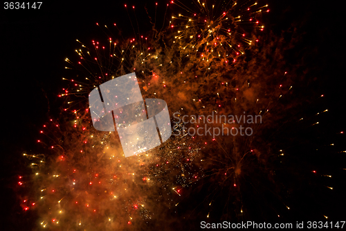 Image of Fireworks in the night sky