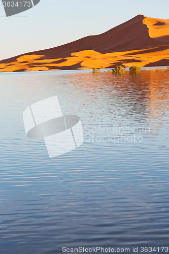 Image of   in the lake yellow    morocco sand and     dune