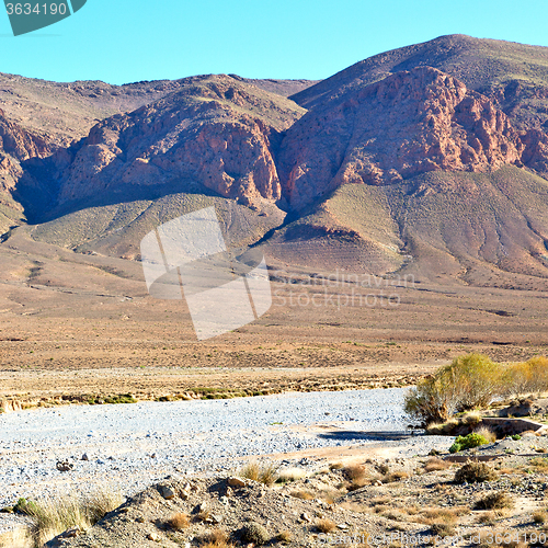 Image of bush  in    valley  morocco     africa the atlas dry mountain  