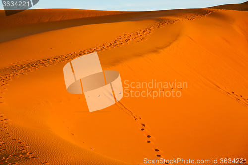 Image of sunshine in the desert of  dune