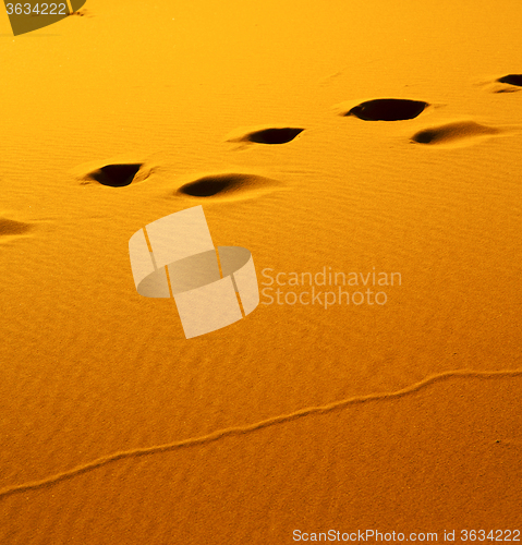 Image of the brown sand dune in the sahara morocco desert 