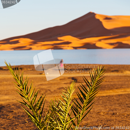 Image of sunshine in the lake yellow  desert of morocco sand and     dune