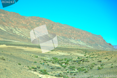 Image of bush  in    valley  morocco     africa the atlas 