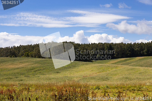 Image of agriculture field. Away trees