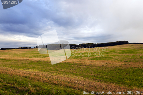 Image of   agricultural field . sunset