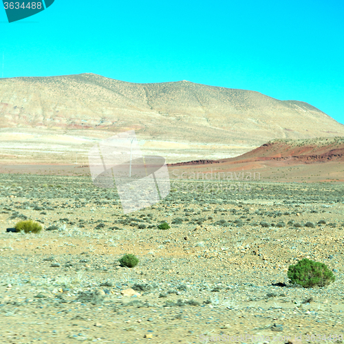 Image of brown bush  in    valley  morocco     africa the atlas dry mount