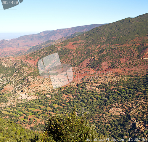 Image of the    dades valley in atlas moroco africa ground tree  and nobo