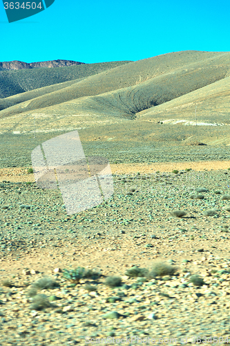 Image of brown bush  in    valley  morocco     africa  mountain  