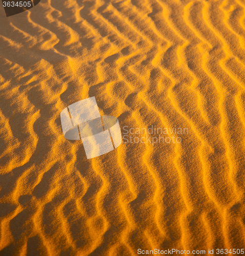 Image of the brown sand dune in the sahara morocco desert 