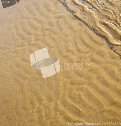 Image of morocco in africa brown coastline wet sand beach near atlantic o