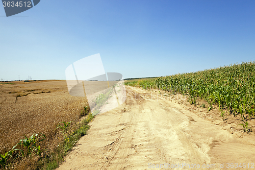 Image of rural sandy road  