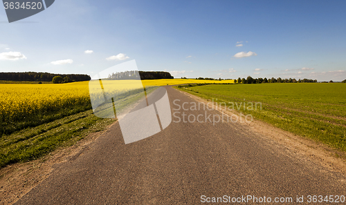 Image of the asphalted road  