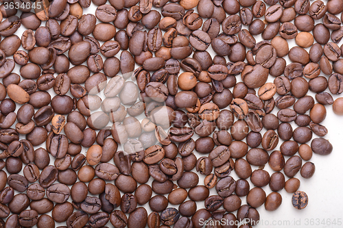 Image of Brown coffee beans,  close-up of coffee beans for background and texture