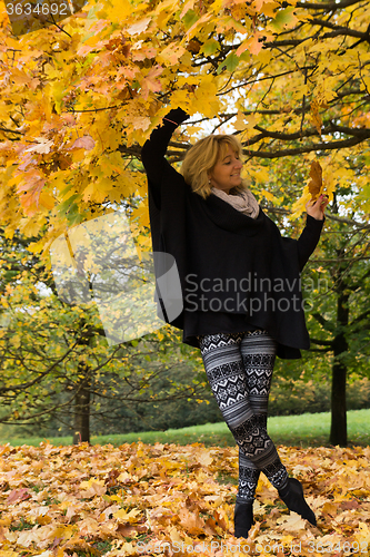 Image of Autumn Season