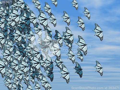 Image of Butterflies
