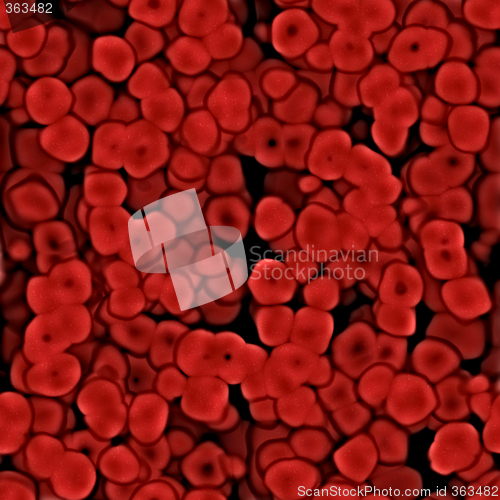 Image of Blood cells