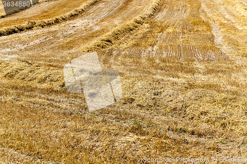 Image of field with straw  