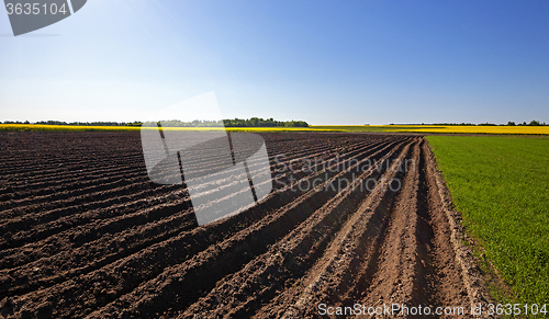 Image of plowed land .  canola.