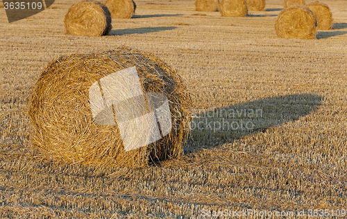 Image of straw stack  . cereals